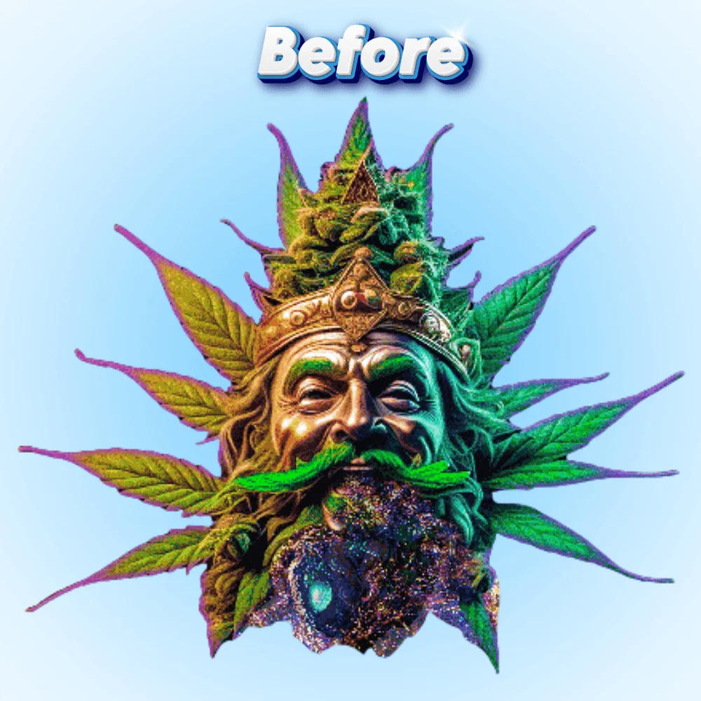 before embroidery digitizing